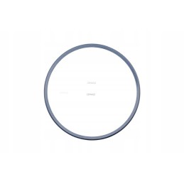 Transmission clutch seal for cat