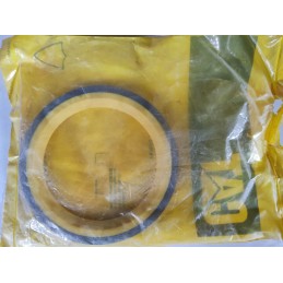 1007477 18j5919 cat seal original