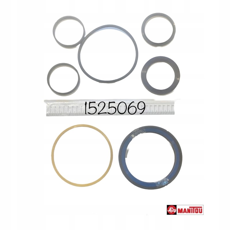 Manitou gasket set 1525069