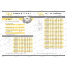 Gear wheel with wheels 20b 1 r1 1 1 4 of 11 Warynski