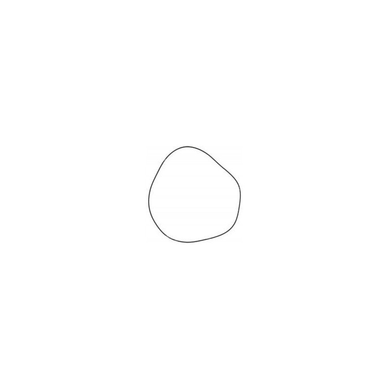 107189 manitou o ring