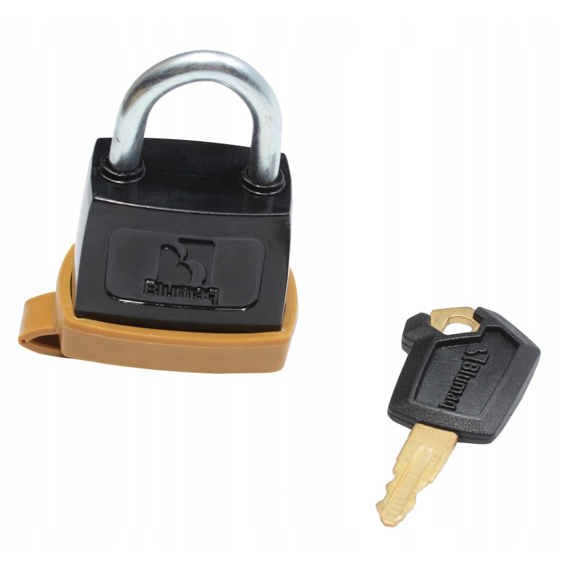 Cat padlock with ignition key