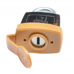 Cat padlock with ignition key