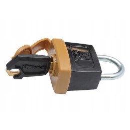 Cat padlock with ignition key