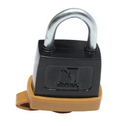 Cat padlock with ignition key