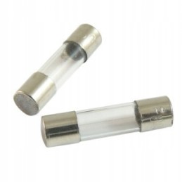 Time-delay glass fuse 10a 250va