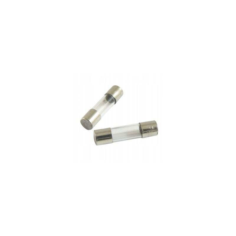 Slow-blow glass fuse 8a 250vac
