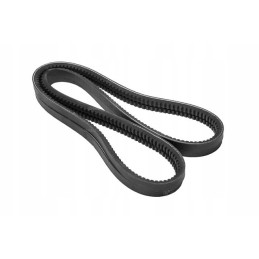 Set of alternator V-belts set 2 pcs. cat