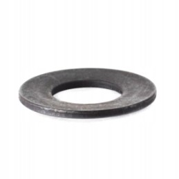 Chain tensioner spring washer