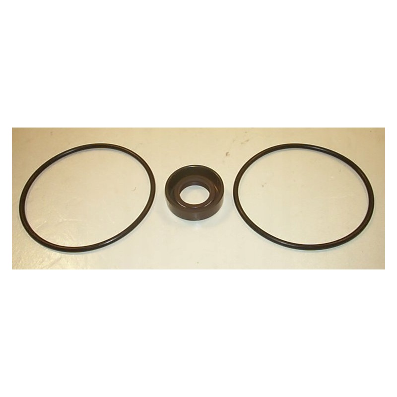 V20 viton pump seal kit 919805n