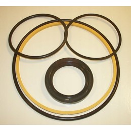 45v pump buna seal kit 919850n