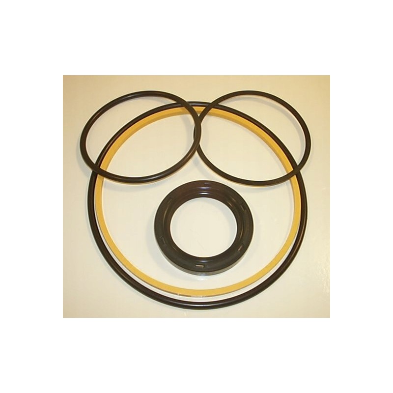 45v pump buna seal kit 919850n
