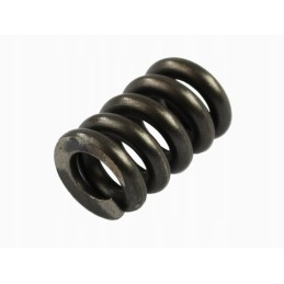Rear suspension bracket spring 21a1601150