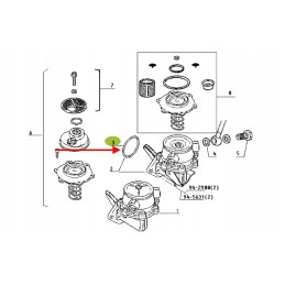 7700017704 fuel pump o-ring 34 x 3