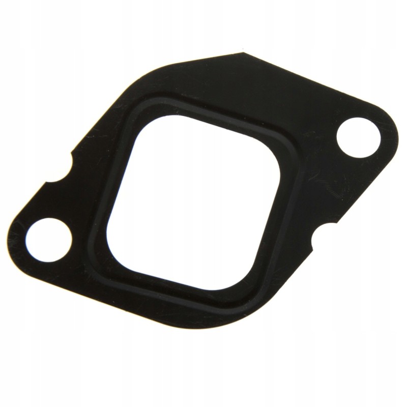 Exhaust manifold gasket zetor 19029506