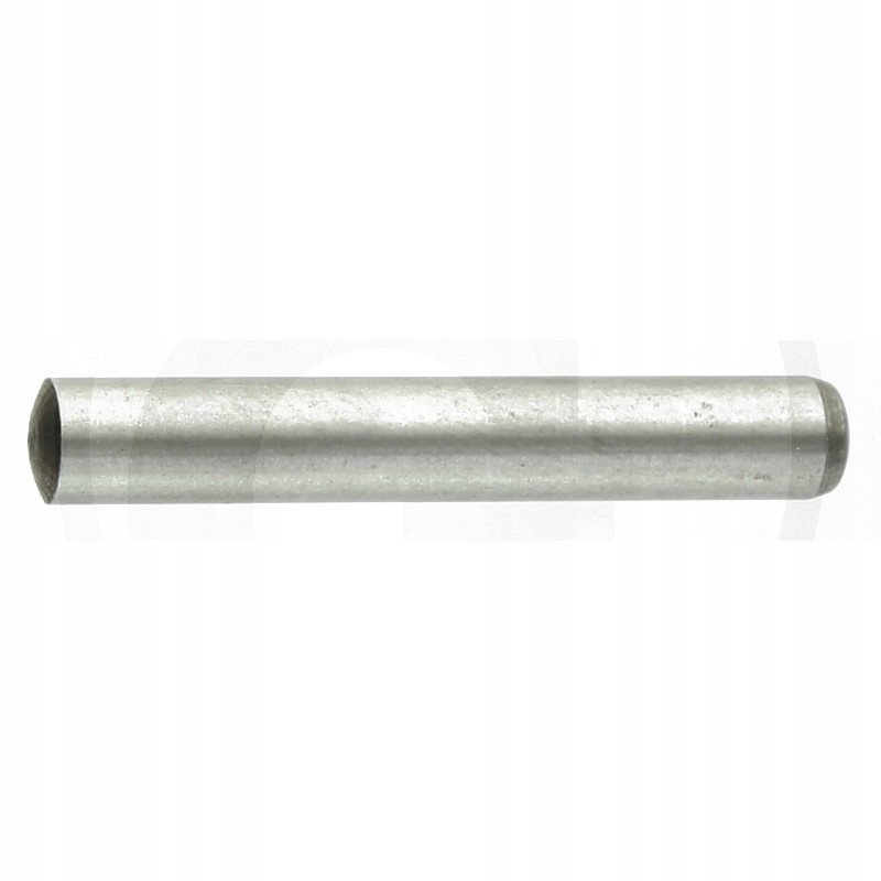 Cylindrical pin 77720173064 scharmuller