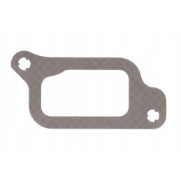 Manifold gasket