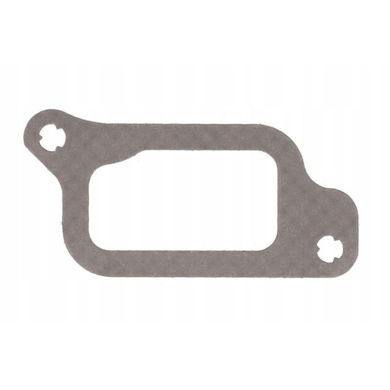 Manifold gasket