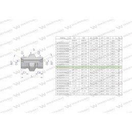 Inch bb 1 4 hydraulic reducing connector
