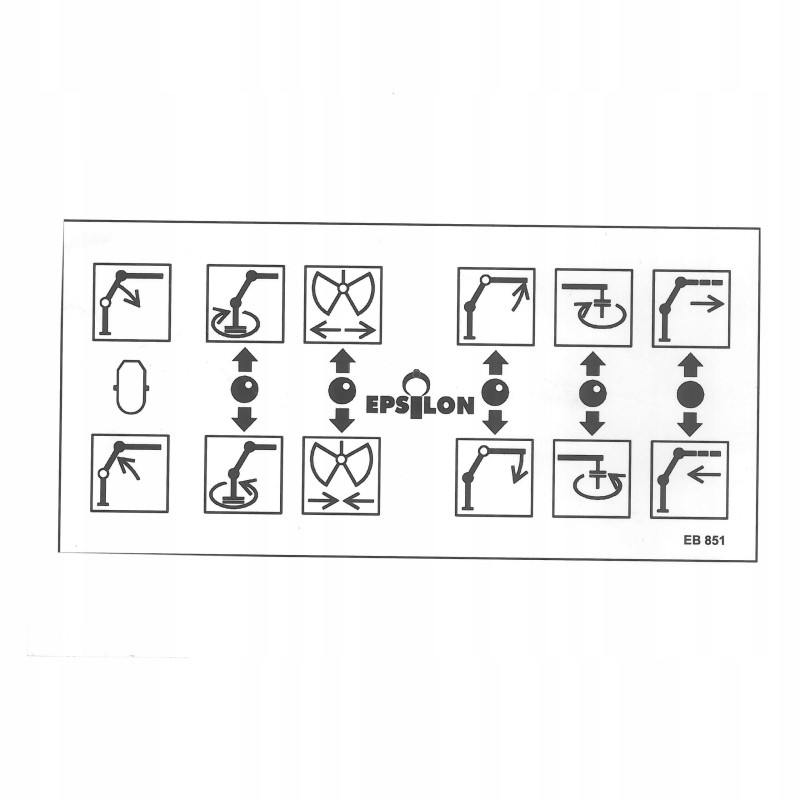 Epsilon pictograms