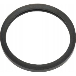 Thermostat gasket 712580