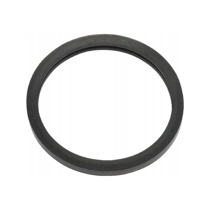 Thermostat gasket 712580