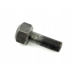 Mtz pulley screw 501005054