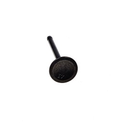 Wacker wm100 eh10 intake valve 0217797