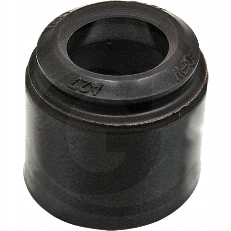 Intake valve seal c 385 and derivatives