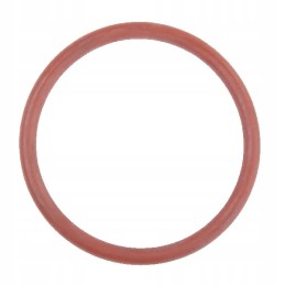 Seal for the fuel pump