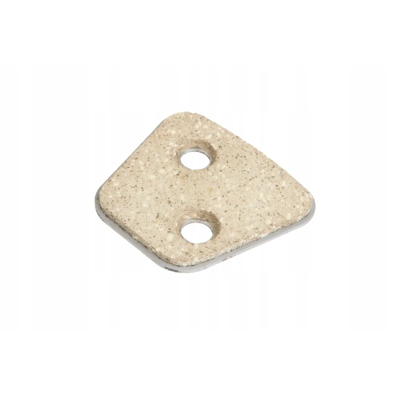 100 021 friction element