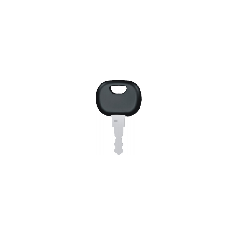 Spare key for the ignition switch