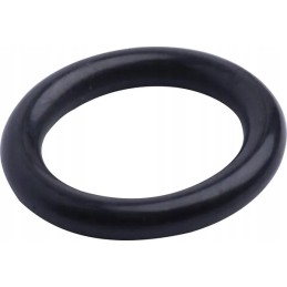 Sealing ring 215300280