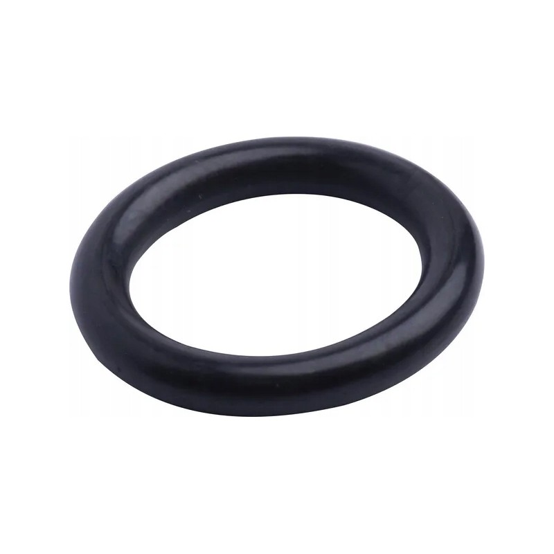 Sealing ring 215300280