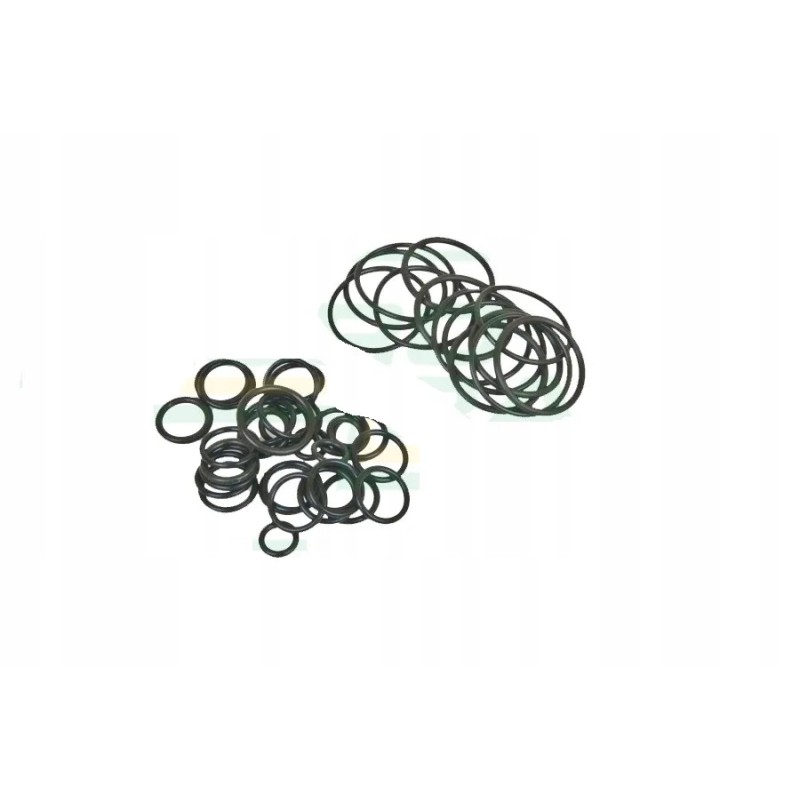 Bizon hydraulic distributor repair kit