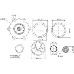 Fuel pump repair kit