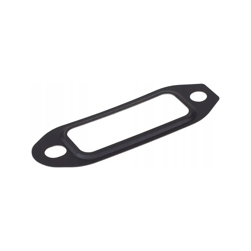 Exhaust gasket