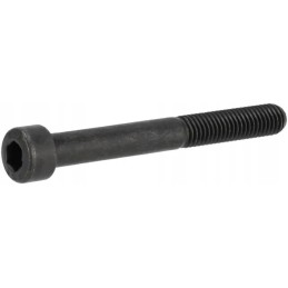 Cylindrical head screw