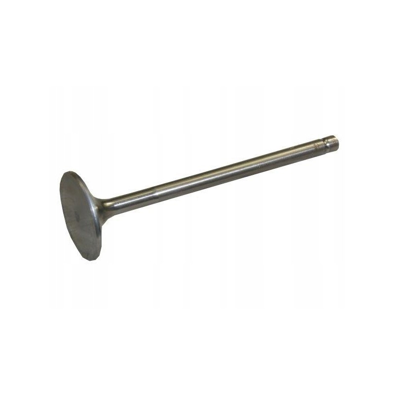 Bizon Paradowski exhaust valve pl607910p