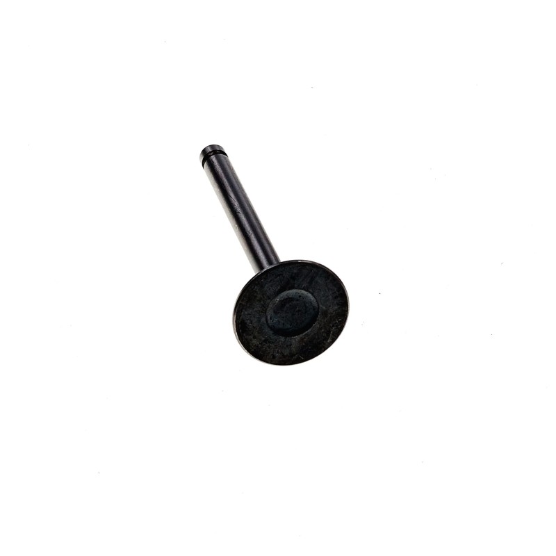 Wacker wm90 eh09 intake valve 0159204