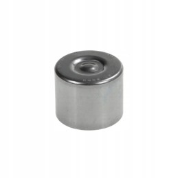 Needle bearing bk2526 claas 234491 0 ntn