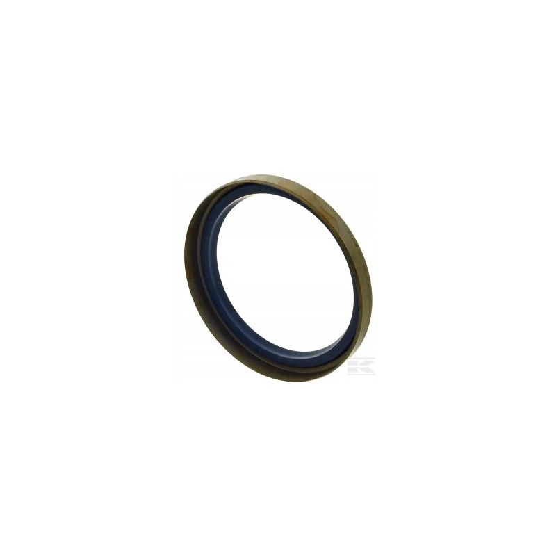 Sealing ring cnh