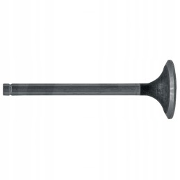 Turbo C 385 intake valve and derivatives