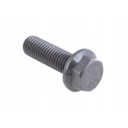 7700013916 screw m12