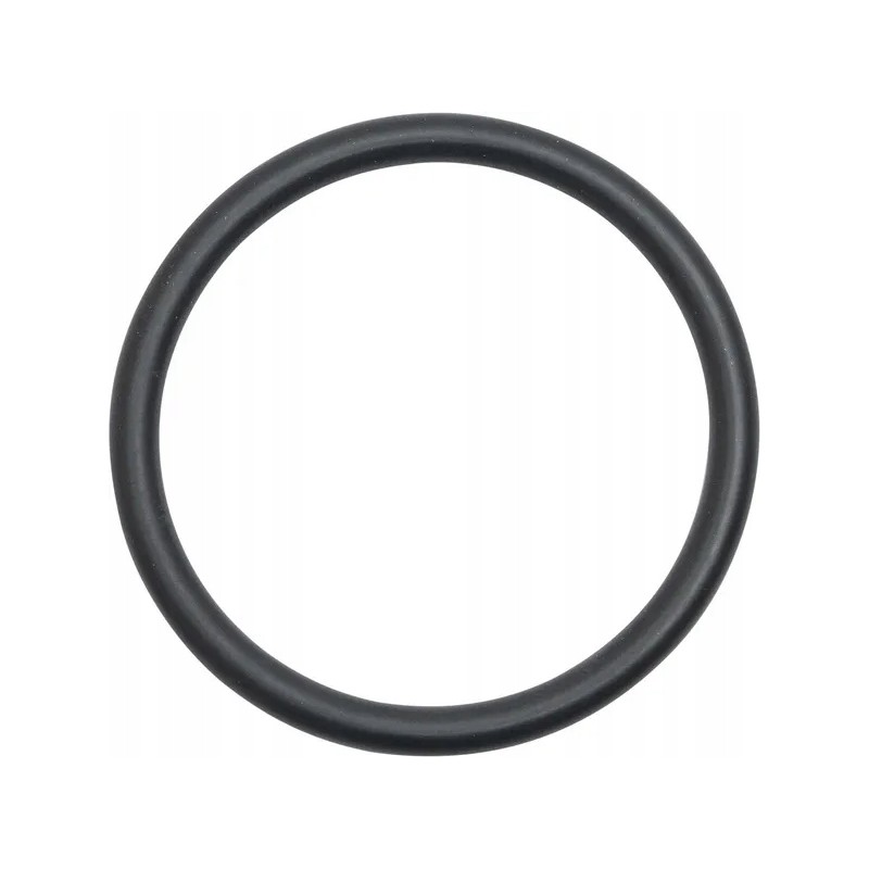 Oil seal 1004637m1