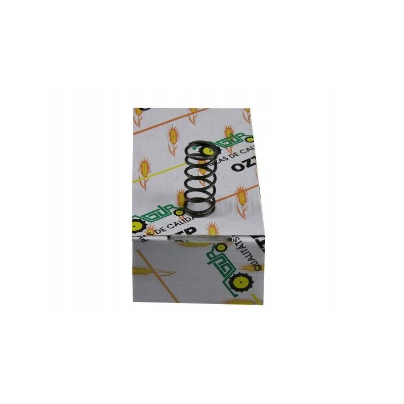 Valve rocker spring mf3 rm 07800