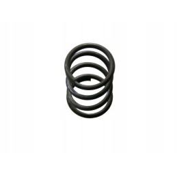 Spring 5060020290 bison 5060020290