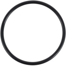 Pierscien 3019929x1 kramp