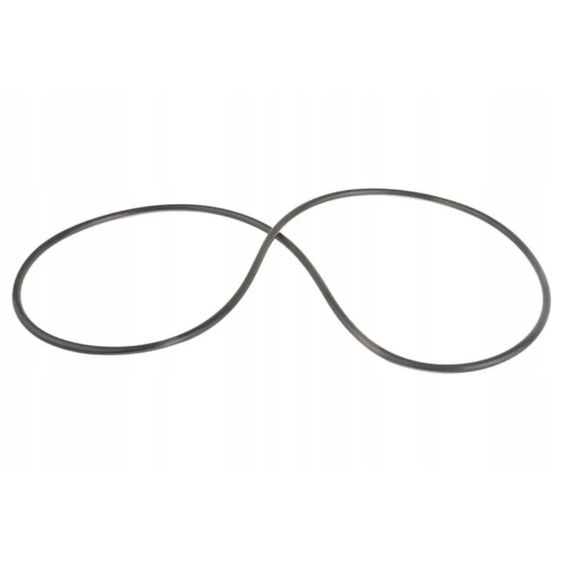 Ci028627 o-ring seal