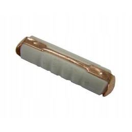 Cylindrical ceramic fuse 25a 10 pcs